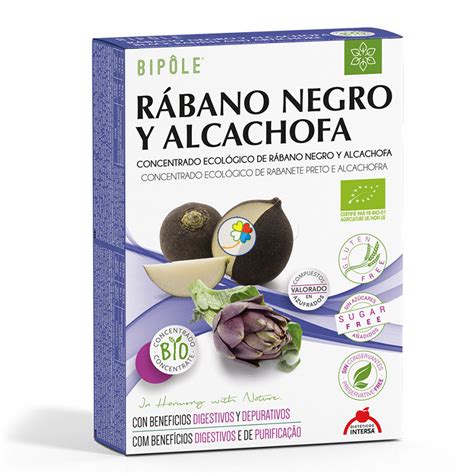 Ilustración de rábano negro y alcachofa