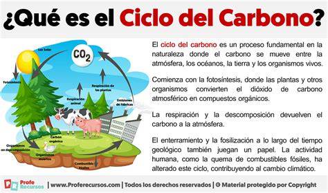 Infografía sobre el ciclo de vida del arroz SOS y puntos de emisión de carbono, destacando la producción agrícola y el consumo