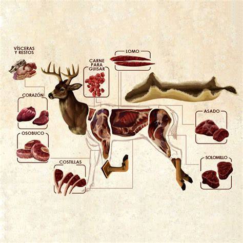 Variedad de carnes de caza mayor
