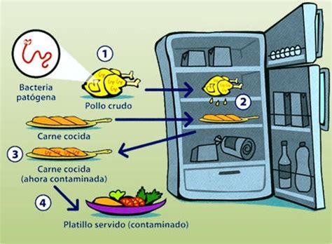 Ilustración de alimentos crudos y cocidos con advertencia para embarazadas