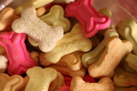 variedad de galletas para perros en forma de hueso