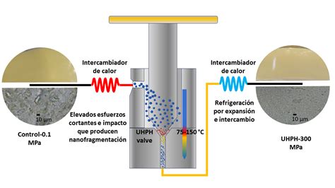 Esquema de la homogenización por altas presiones