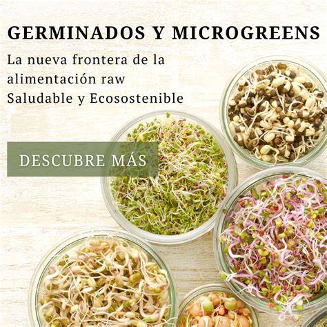 Comparativa de distintos tipos de germinadores