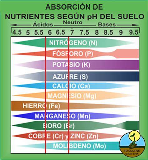 Tabla de rangos de pH óptimos para la absorción de nutrientes en plantas