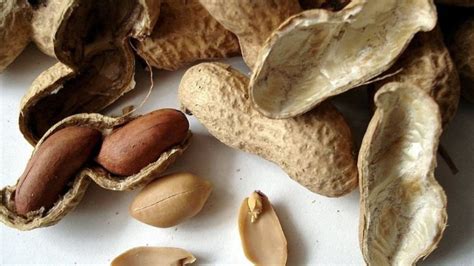 Cáscaras de cacahuete usadas como acolchado en un jardín