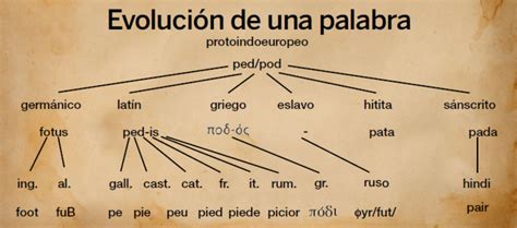 Evolución de la palabra pastel desde el griego hasta el latín
