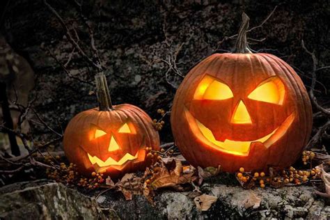Calabazas de Halloween decoradas con luces y plantas