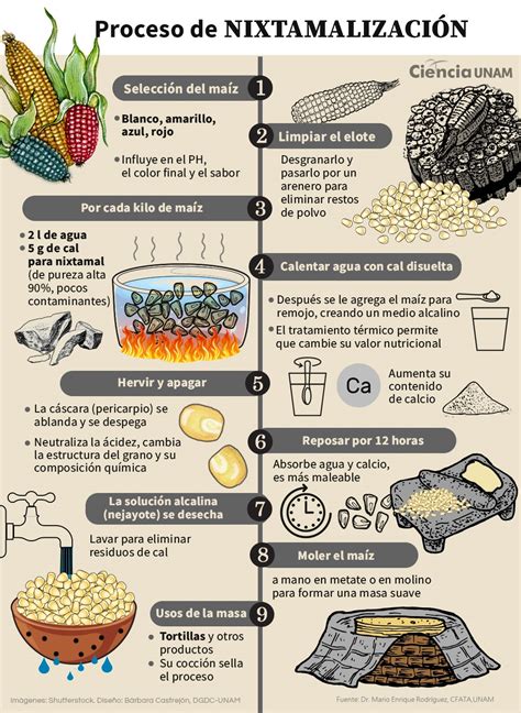 Proceso de nixtamalización del maíz