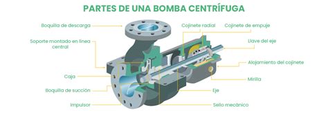 Diagrama de componentes de una bomba de agua y posibles puntos de fuga