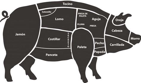 Esquema de las diferentes partes del cerdo