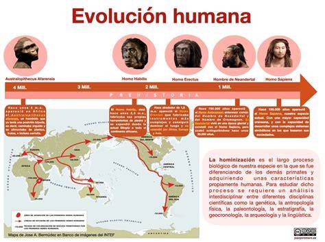 Cronología de la evolución de la causa peruana
