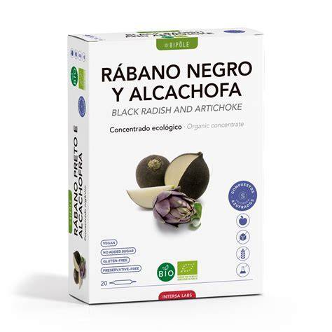 Ilustración de las plantas de rábano negro y alcachofa