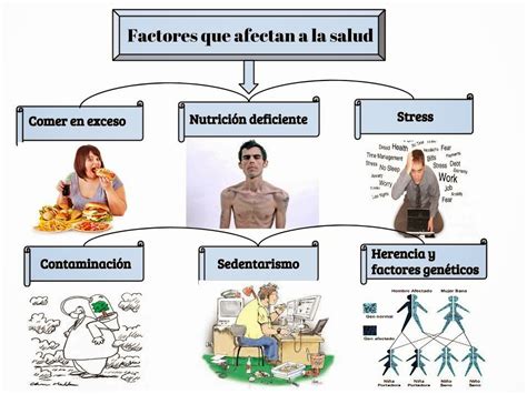 Esquema de factores que afectan la salud y producción de corderos de cebo