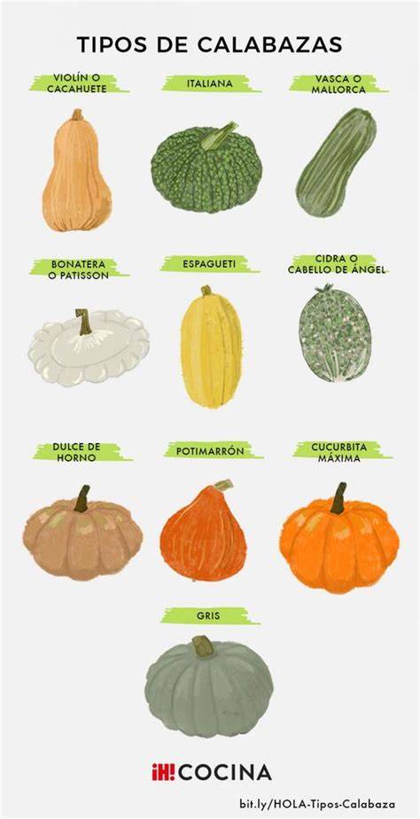 Variedades de calabaza para empanadillas