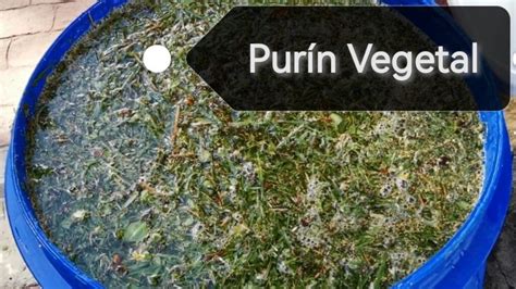 esquema de preparación de purines vegetales para el huerto