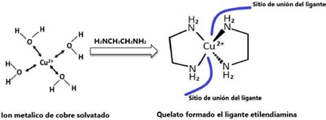 Estructura molecular de un quelato de hierro