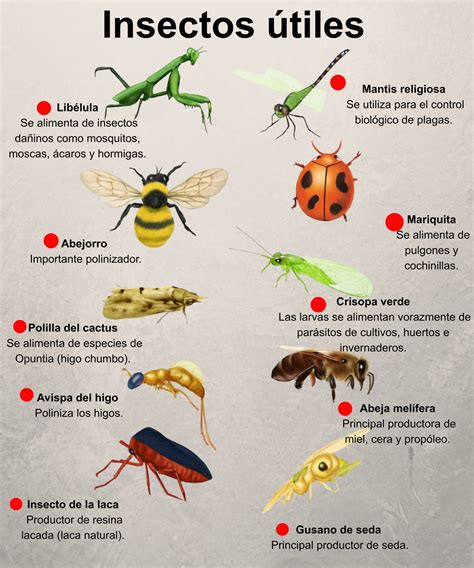 Insectos beneficiosos y perjudiciales en huertos