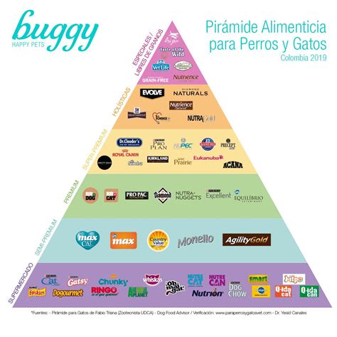 Pirámide nutricional para perros
