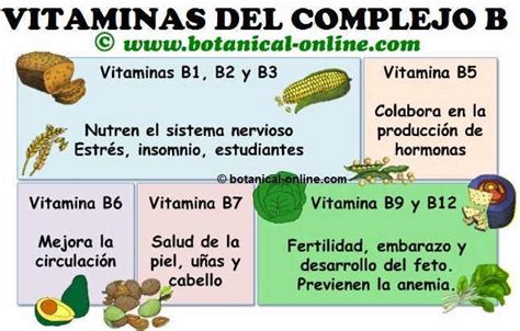 Infografía sobre las funciones de las vitaminas del grupo B