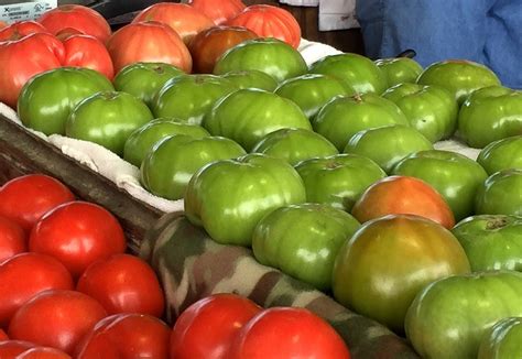 Diferencias entre tomate rojo y tomate verde