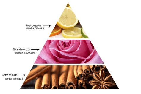Pirámide olfativa de un perfume Opium