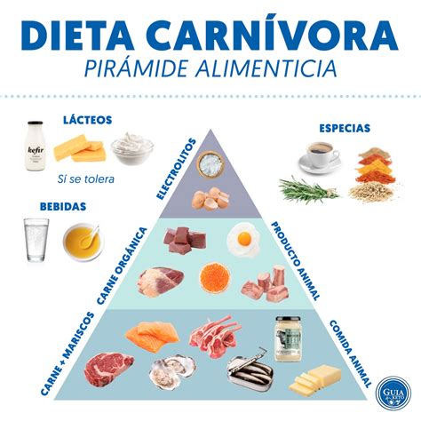 Pirámide alimenticia de la dieta carnívora