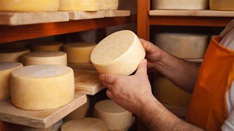 Proceso de maduración de queso