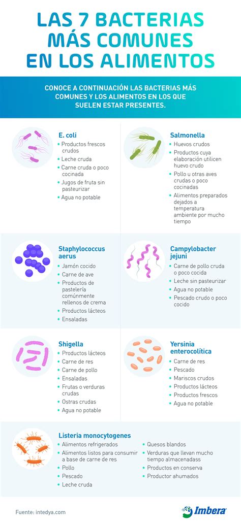 Bacterias comunes en alimentos caducados