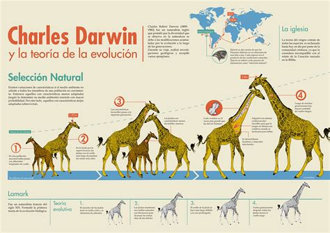 Diagrama comparativo de la evolución darwiniana y no darwiniana