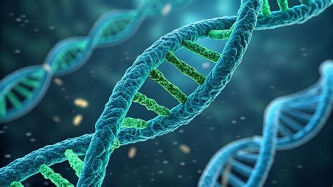 Imagen de un macrochip de ADN