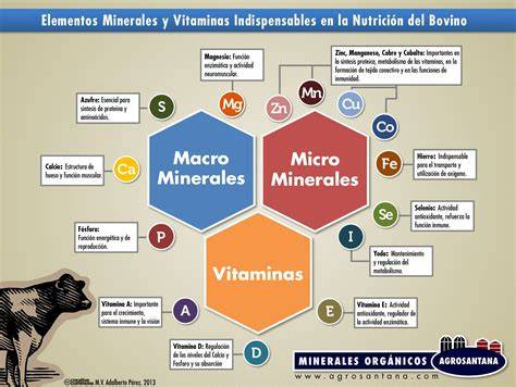 Esquema de las vitaminas y minerales esenciales para el ganado