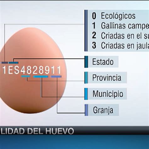 Ejemplo de código impreso en la cáscara del huevo