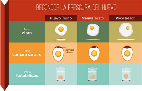 Prueba de flotación para determinar la frescura de un huevo