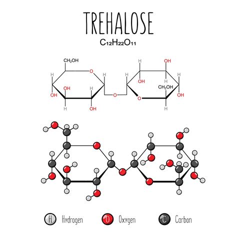 Estructura molecular de la trehalosa