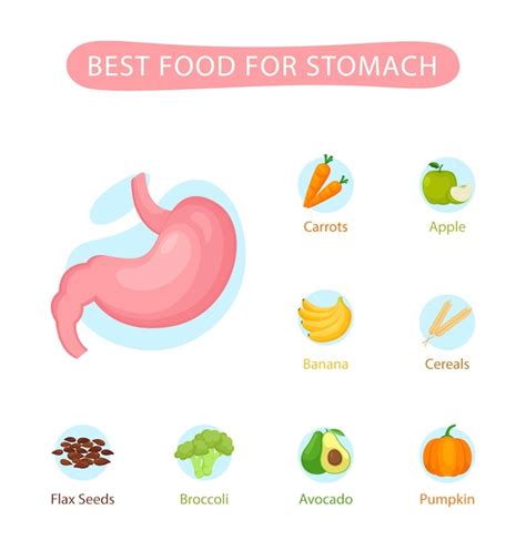 Alimentos saludables para el estómago