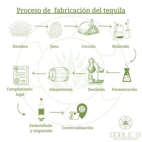 Proceso de elaboración de albóndigas vegetarianas