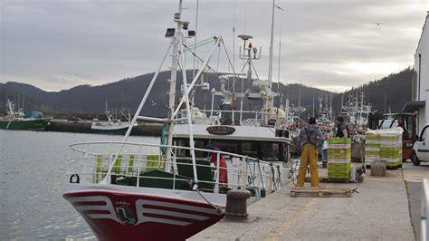 Barco de pesca de volanta