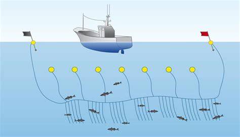 Barco de pesca de palangre