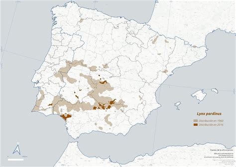 Mapa de distribución del cerdo ibérico en la península