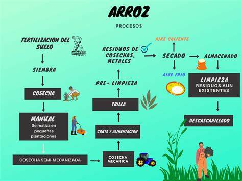 Diagrama de flujo del procesamiento del arroz