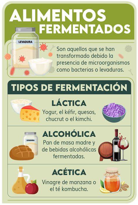 Infografía sobre los beneficios de la fermentación de cereales