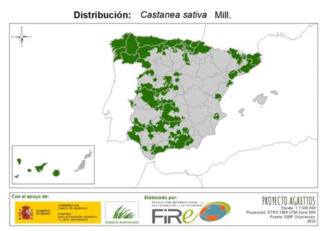 Mapa de distribución del Castanea sativa en Europa