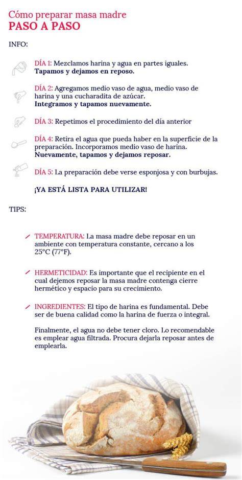 Proceso paso a paso de la masa madre