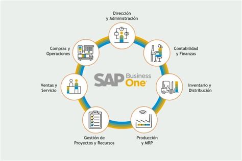 Gráfico mostrando el alcance de los sistemas SAP en las transacciones globales