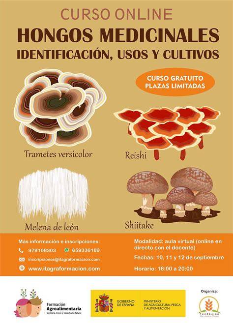 Hitos en el uso medicinal de los hongos