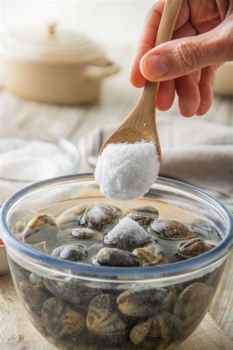 Almejas frescas en un cuenco con agua y sal