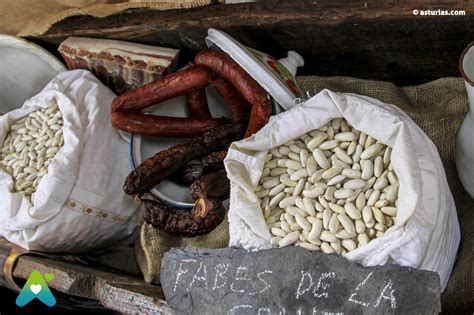Cultivo de fabes en Asturias
