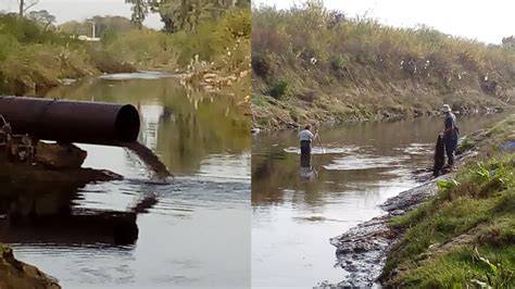 Comparación del flujo de agua antes y después de limpiar la alcachofa
