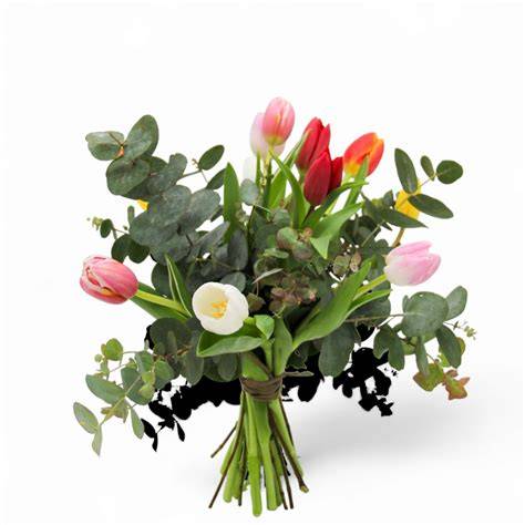 Tulipas saladas variadas