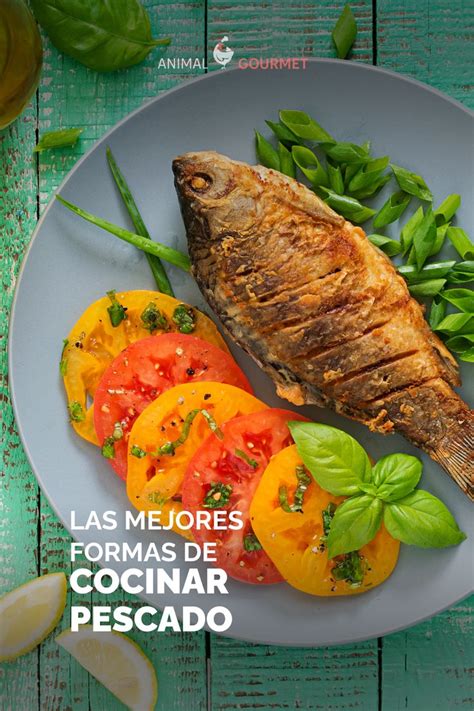 Infografía: Formas de cocinar pescado